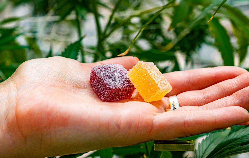 thc gummy
